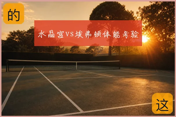 水晶宫vs埃弗顿体能考验